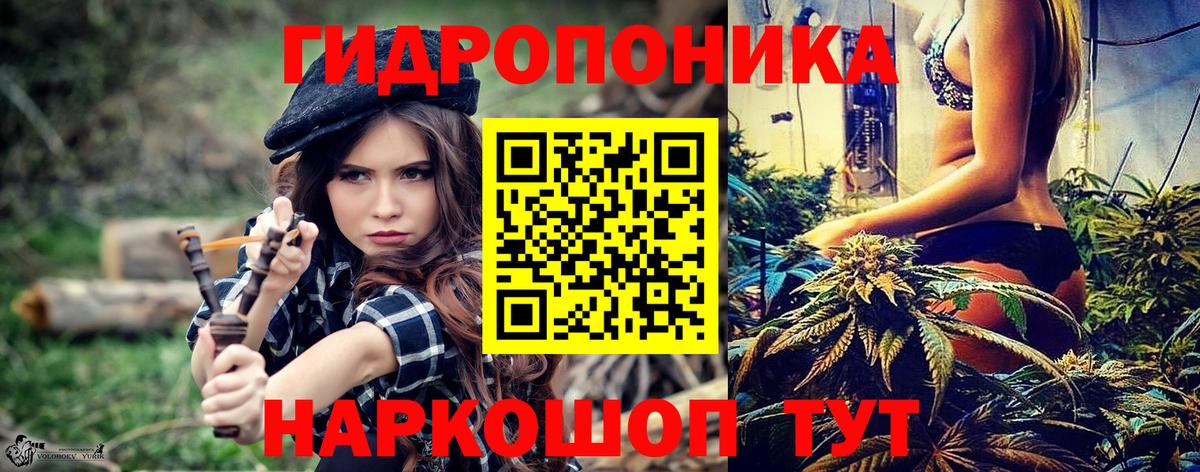 Канабис гибрид  Вход с VPN  Бошки марихуана ГИДРОПОН  Отрадный  Канабис White Widow 